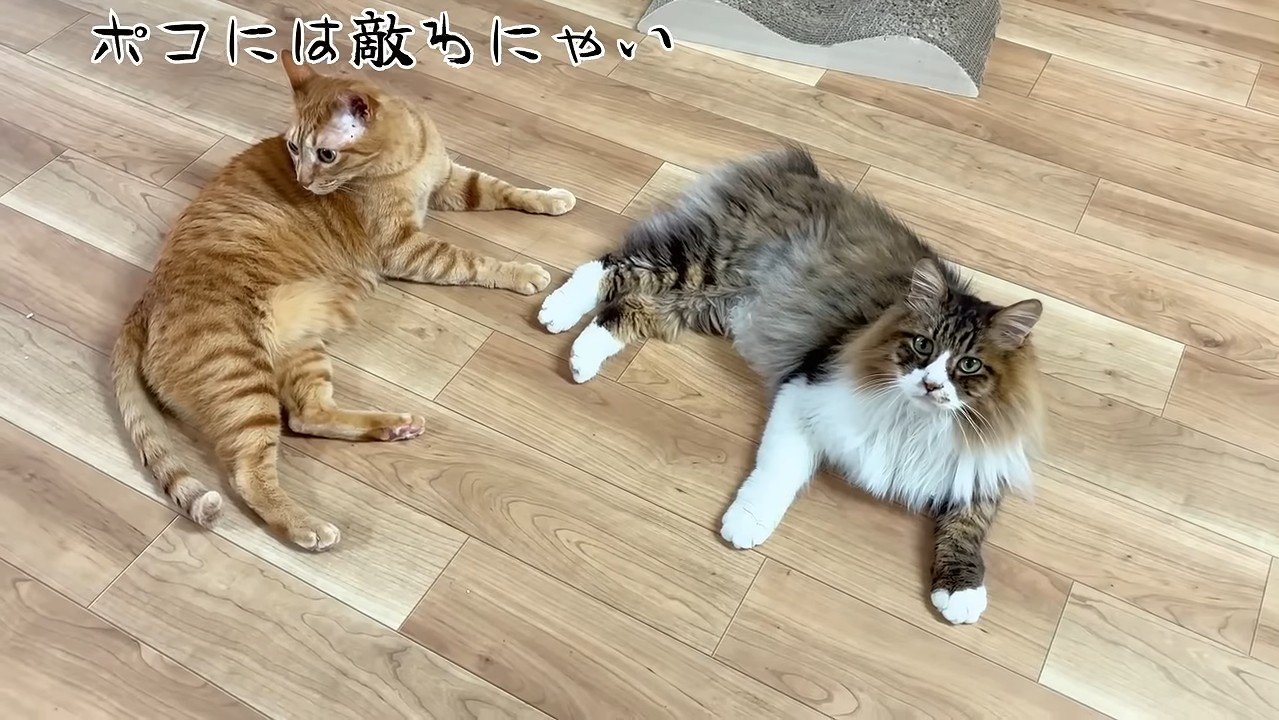 くつろぐふたり