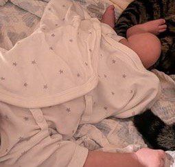 赤ちゃんのそばに座っている動物の足