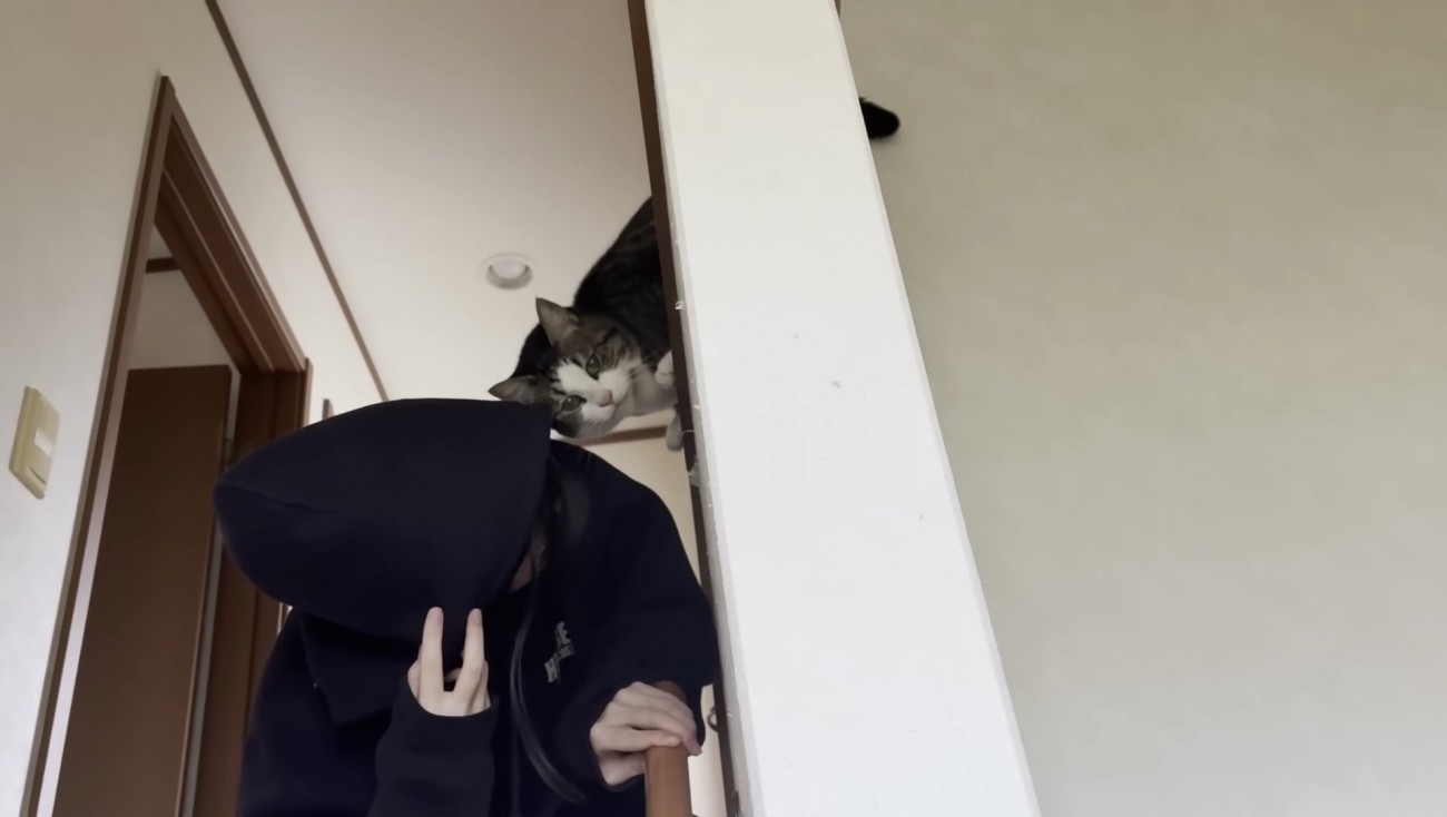 ためらうおでこちゃん