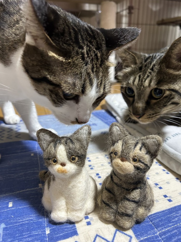 人形に興味津々な2匹