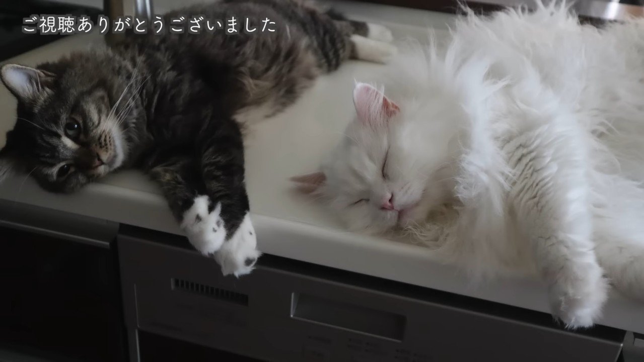 横になるふたり