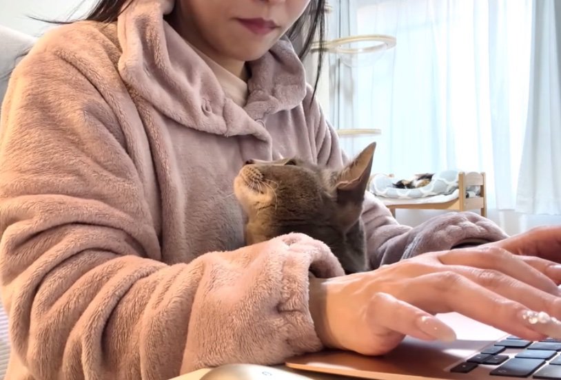 飼い主さんのチラ見