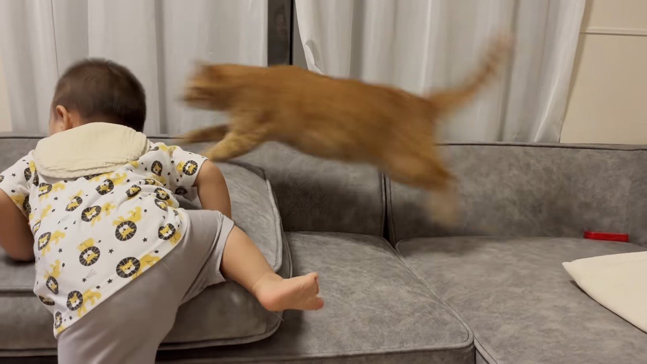 赤ちゃんの横でジャンプ