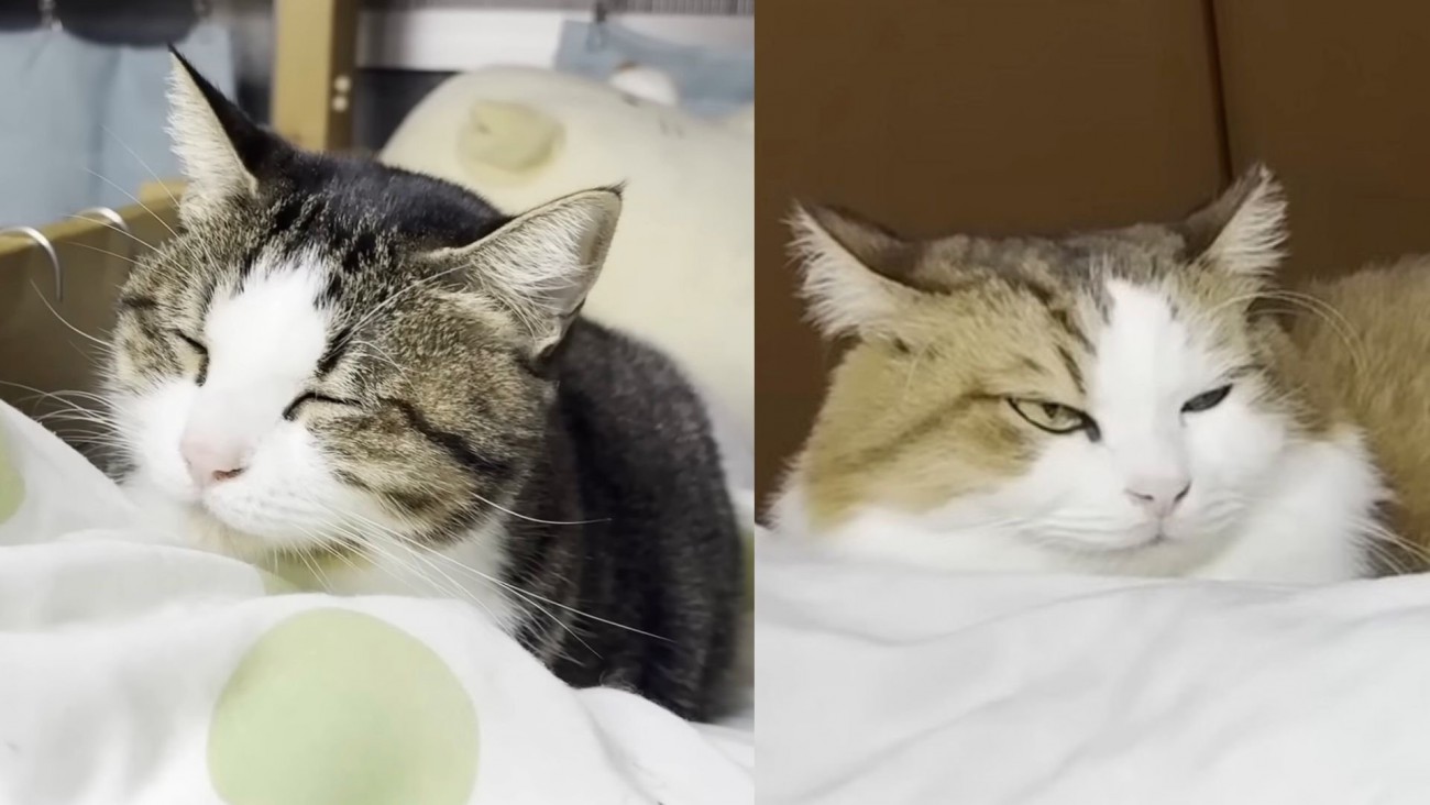 ふたりが写っている写真