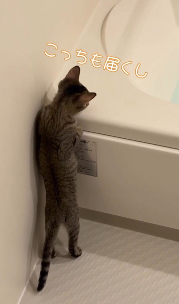 「こっちも届くし」と書かれた写真