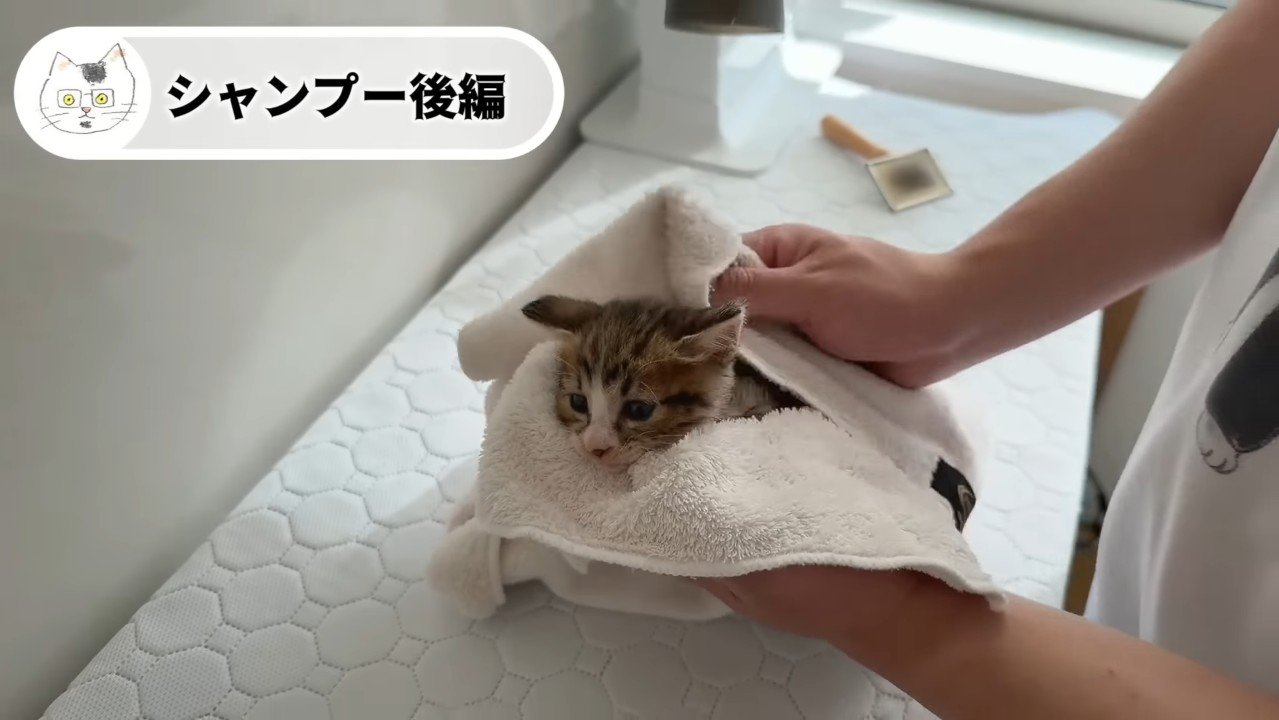 タオルに包まれて