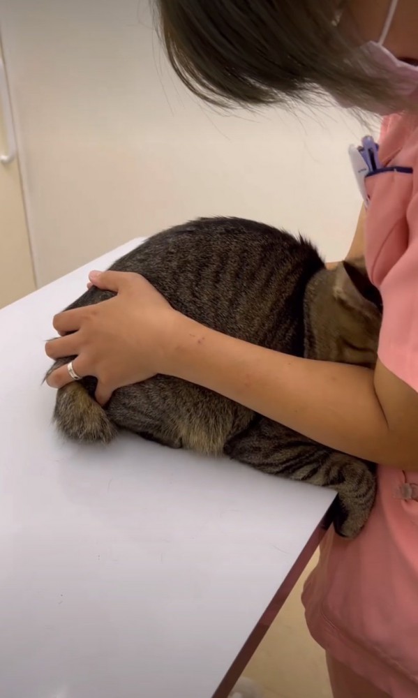看護師さんに助けを求める