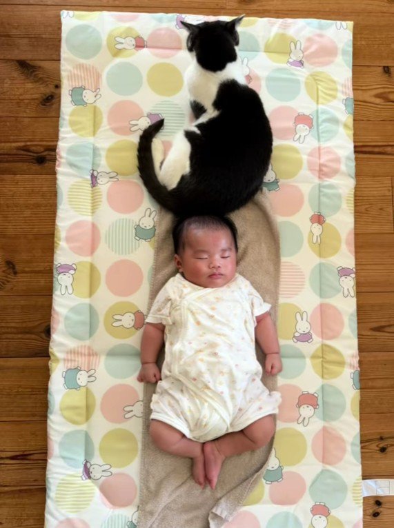 寝ている赤ちゃんと猫