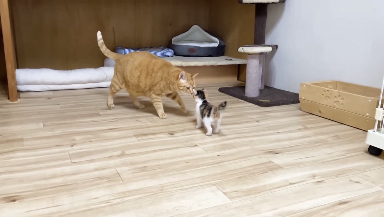 うにくんとの対面