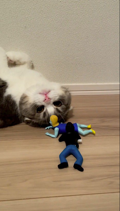 仰向けになってゾンビのおもちゃを見つめる猫