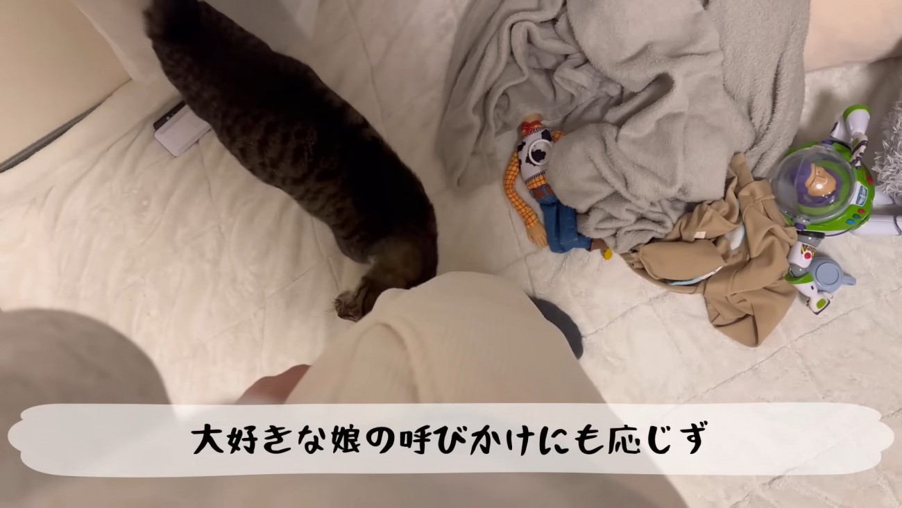 テロップ「大好きな娘の～」