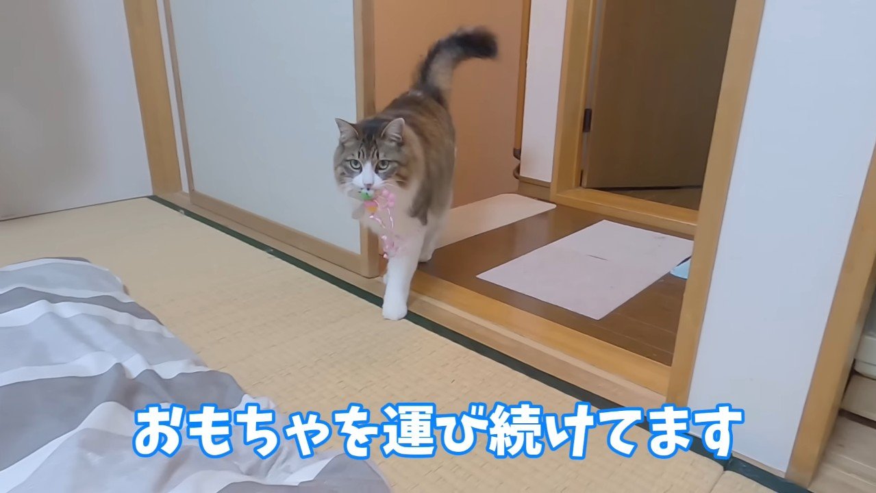 運び続けてます