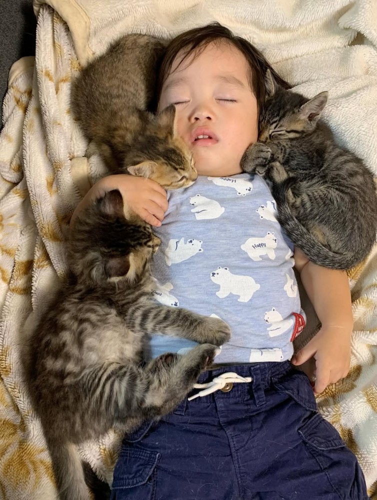 顔を寄せ合って寝ている子どもと子猫