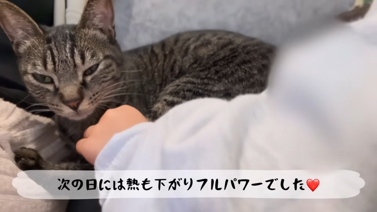 テロップ「次の日には熱も下がり～」