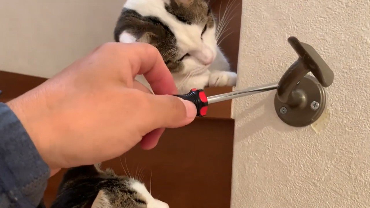 見つめるふたり