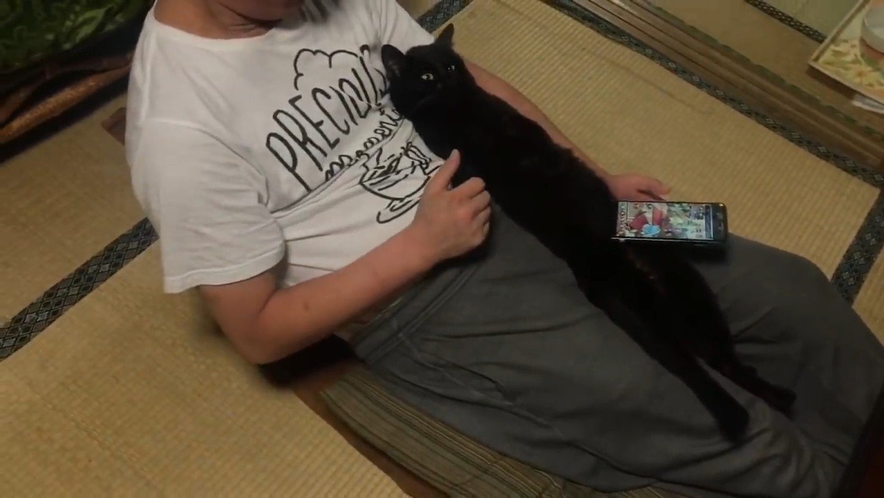 真っ直ぐ伸びた姿