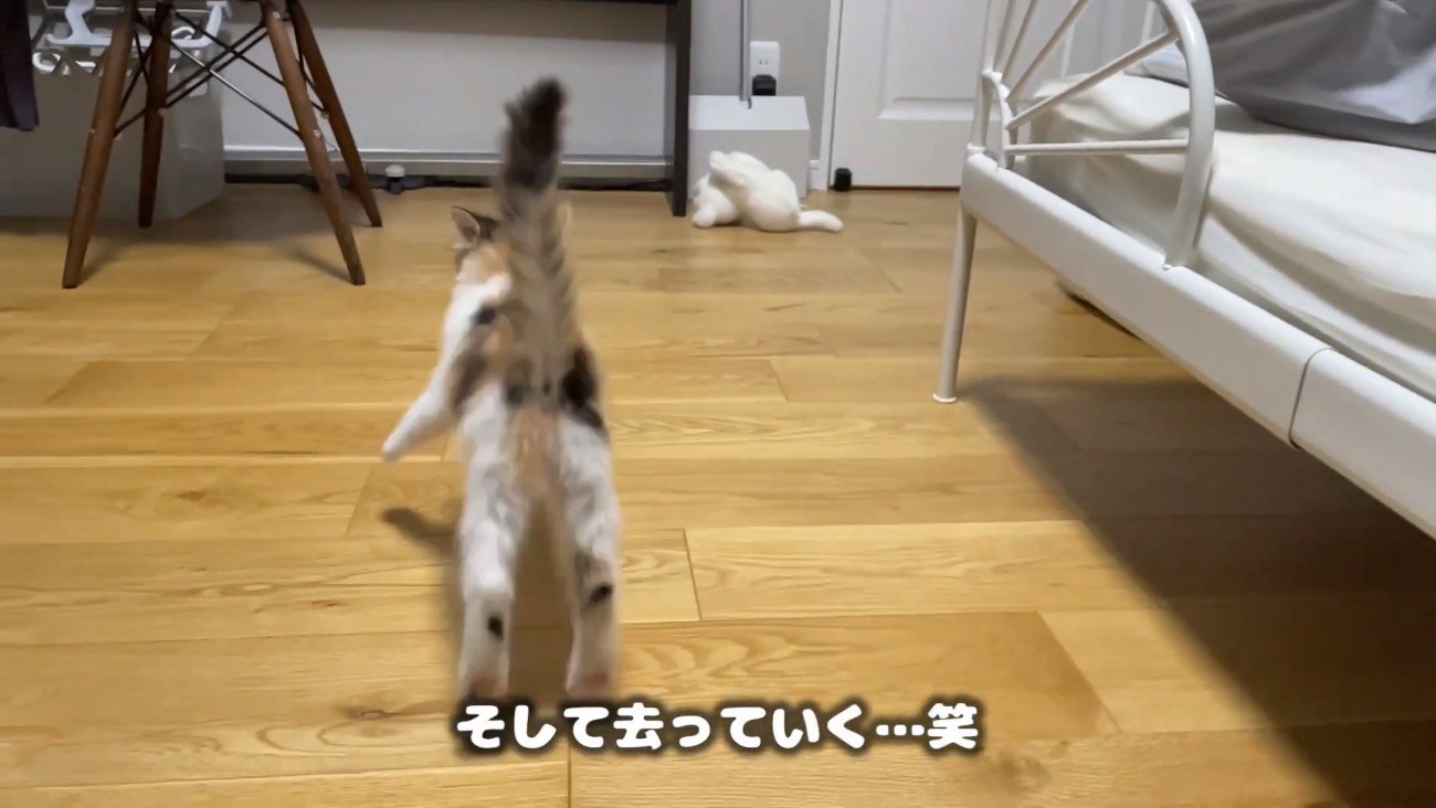 去っていくうなぎちゃん