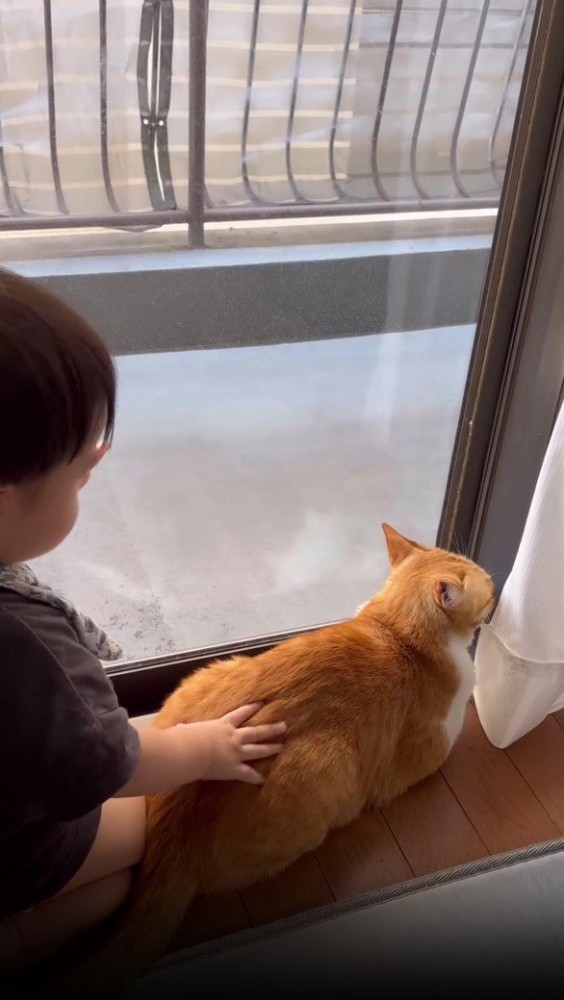 猫のおしりをたたく赤ちゃん