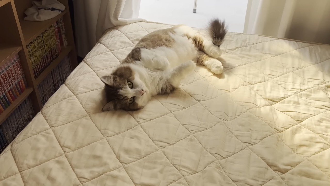 ベッドでゴロゴロ