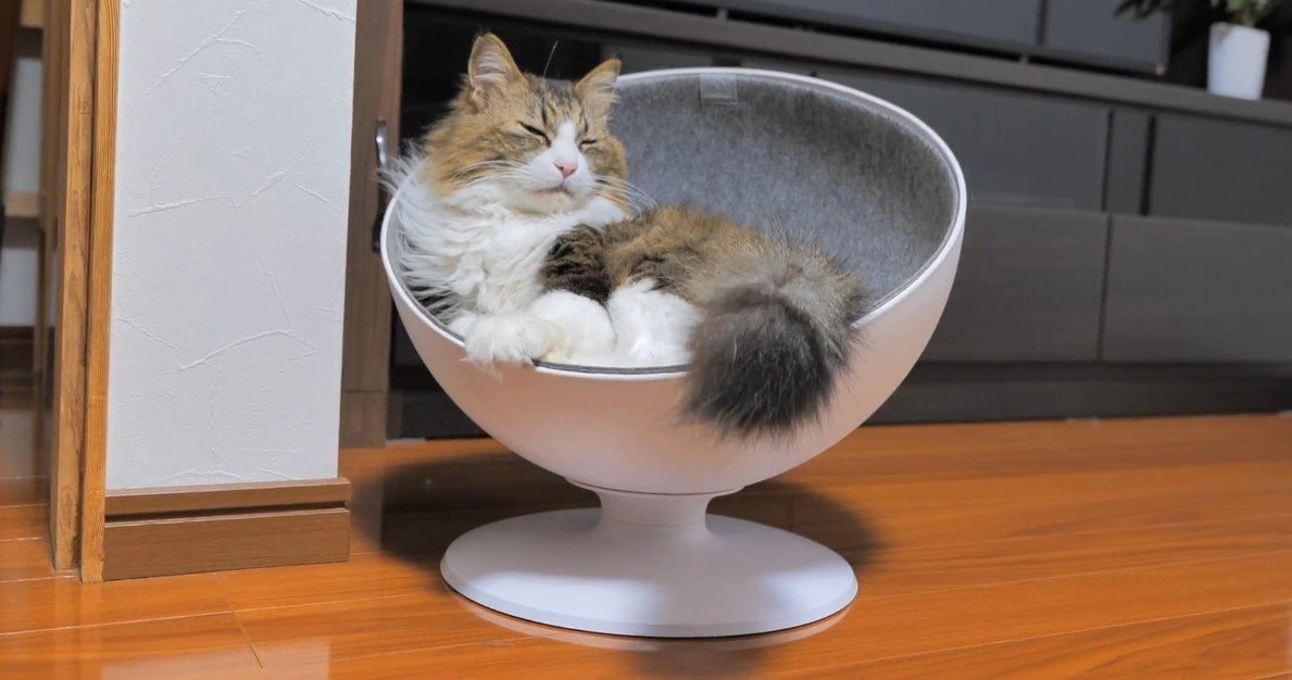 ベッドでくつろぐ姿