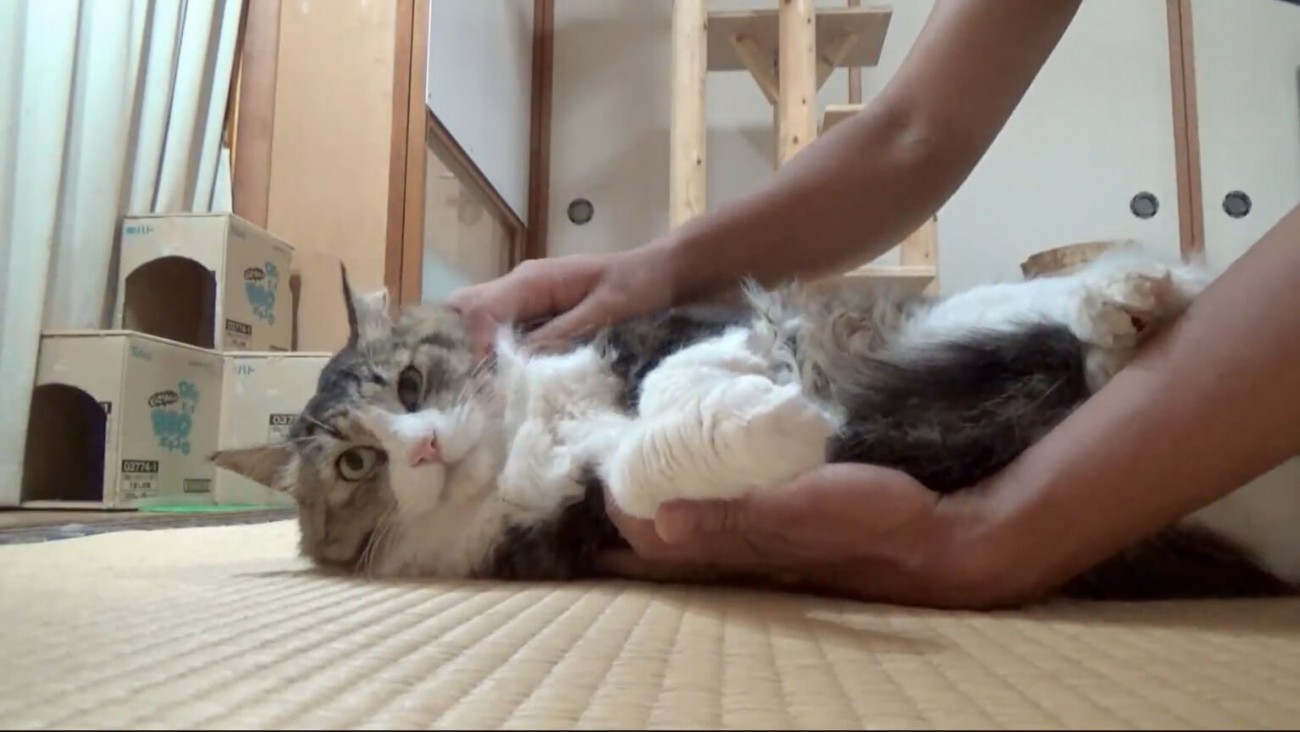 再びリラックス