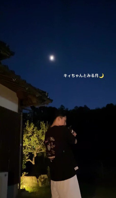 月を見る男性と猫