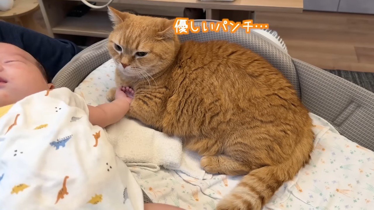 優しいパンチ