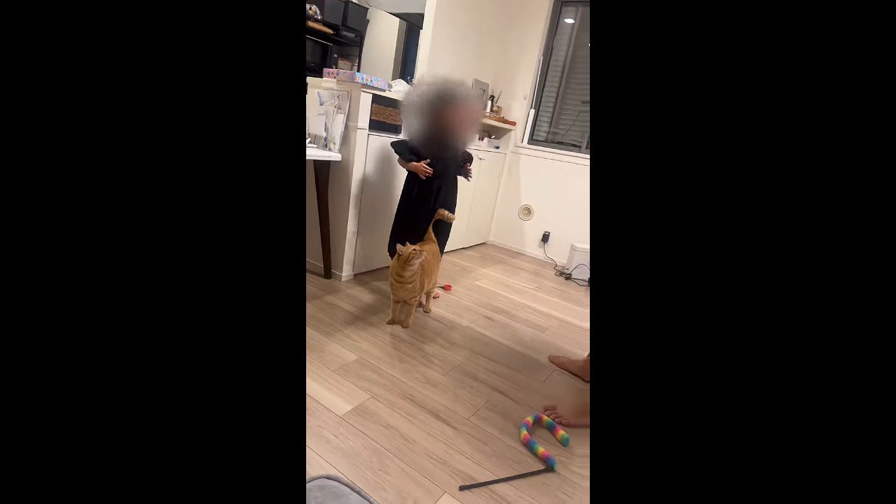 見上げる姿