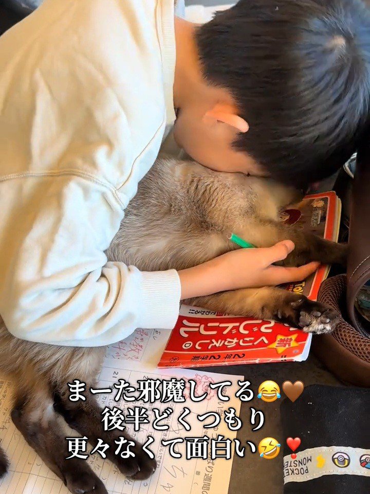 猫を抱きしめる子ども