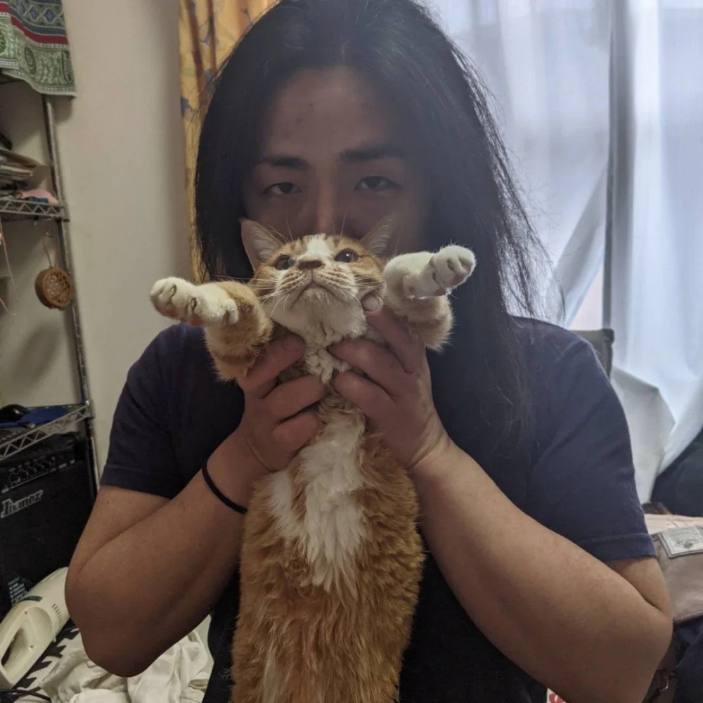 吉田さんと猫
