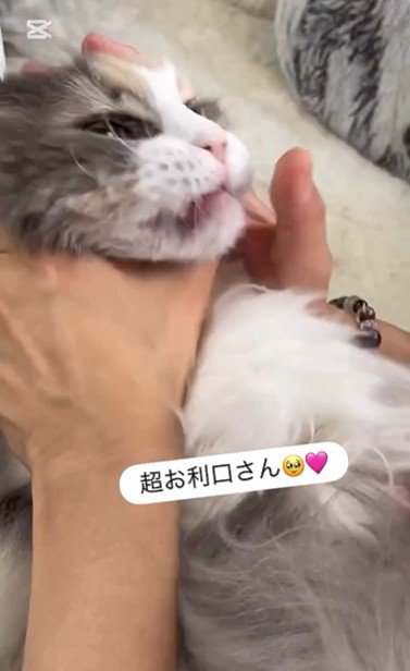 飲み薬を持っている人と抱かれている猫