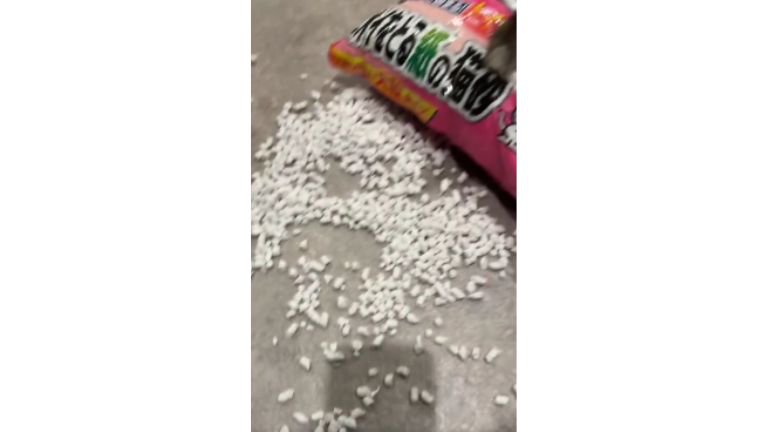 猫砂の袋に乗っている猫