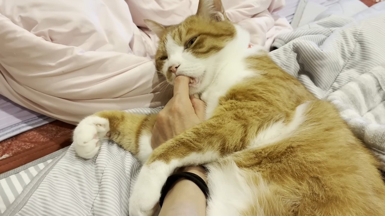 指チュパする大人クラくん