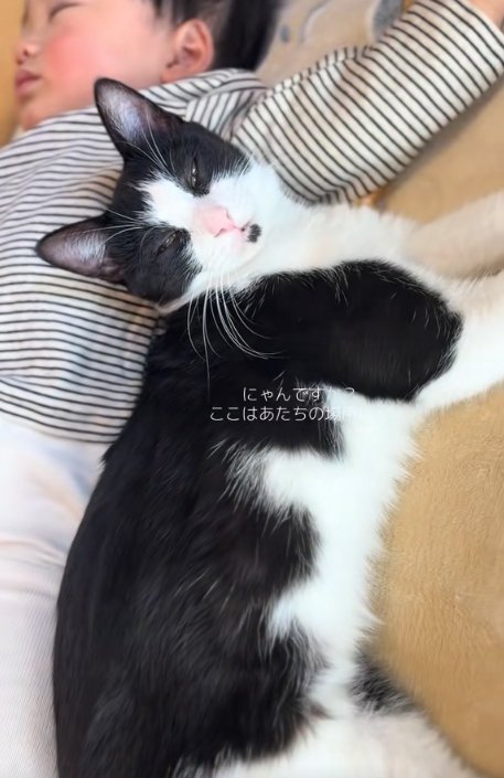 赤ちゃんにくっついて頭だけを上げている眠そうな猫