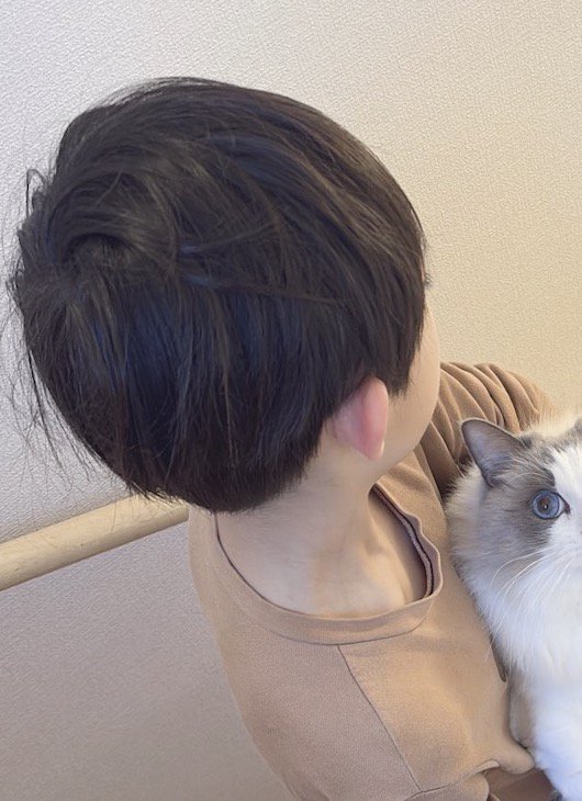 猫を抱えて階段を降りる男の子の横顔