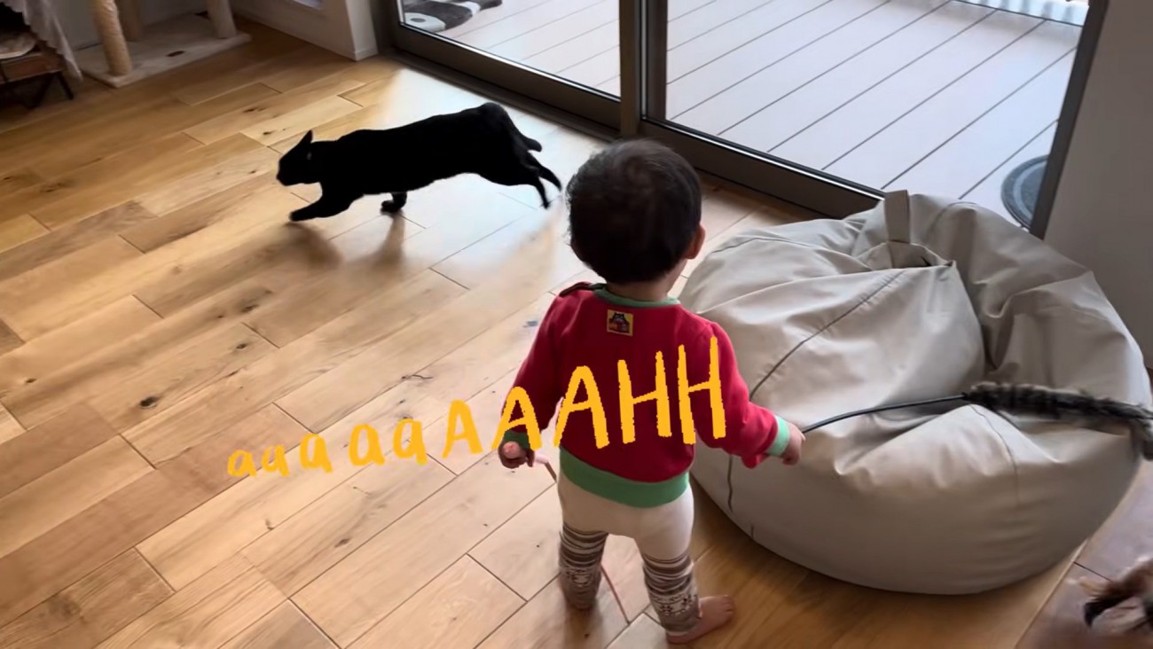 テロップ「aaaaaAAAHH」