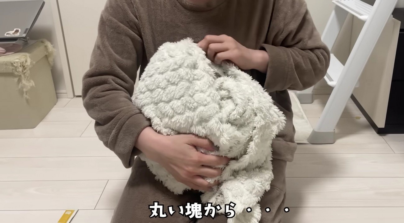 毛布に包まれるみにらくん