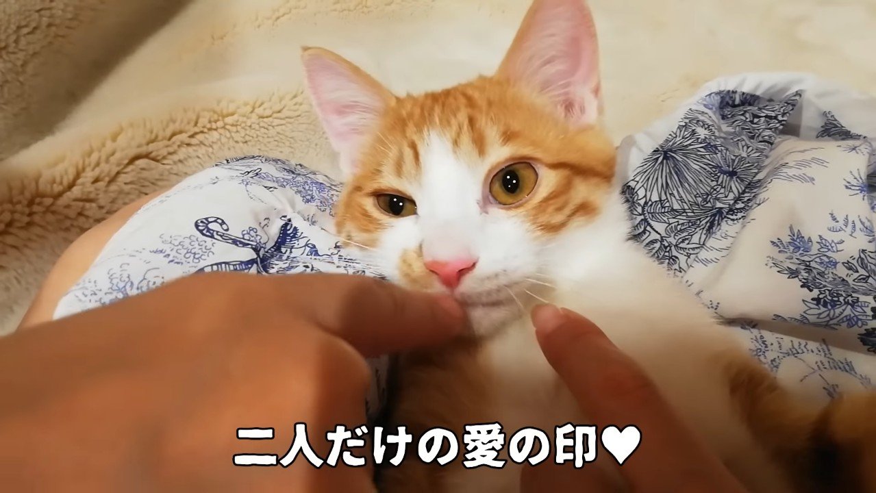 二人だけの愛の印