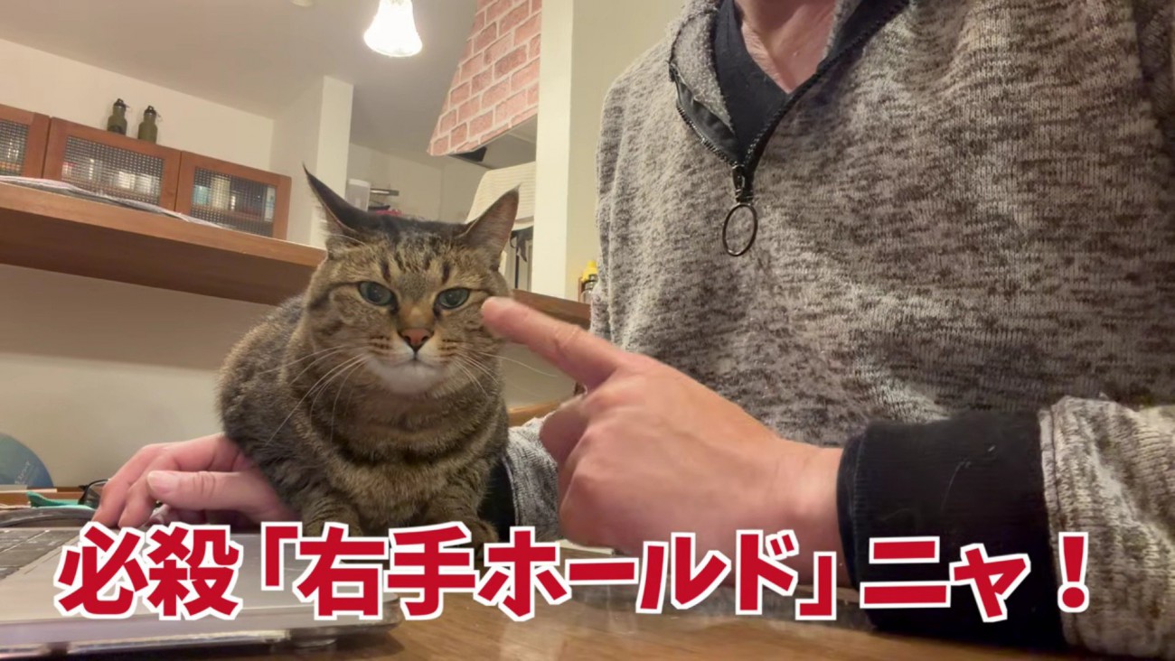 とーちゃんの右手に乗る牛太郎さん