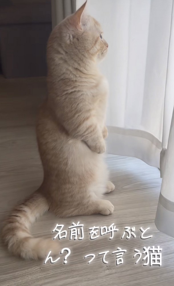 「名前を呼ぶと...」のテロップ写真