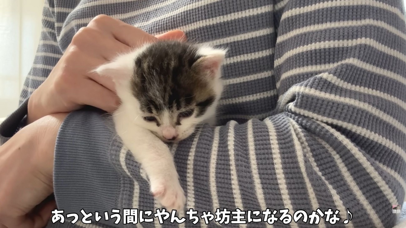テロップ「あっという間に～」