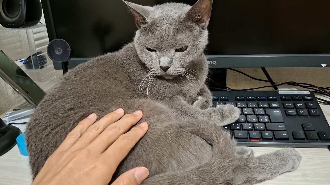 タッチ