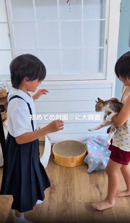 猫を囲む2人の女の子