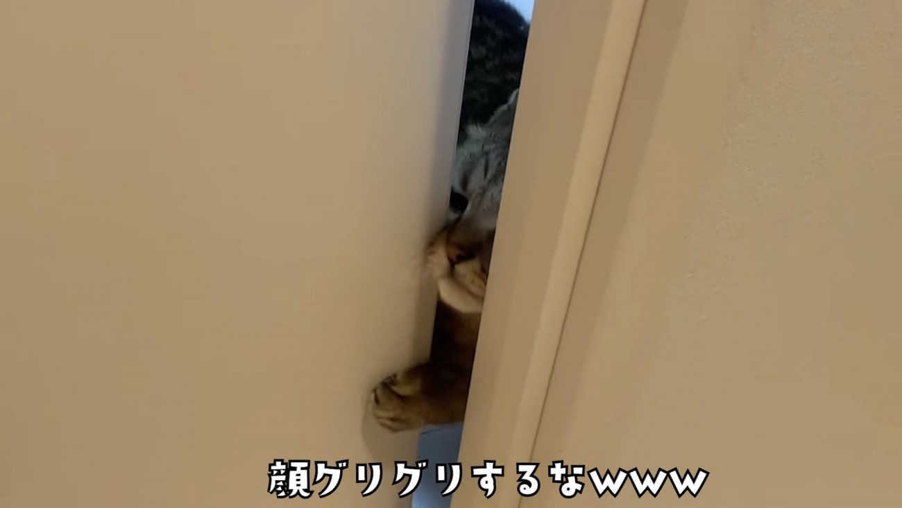 「顔グリグリするなｗ」のテロップ写真