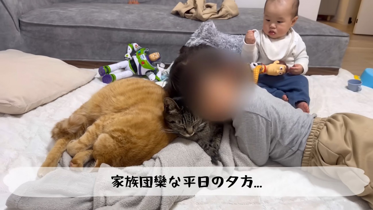 テロップ「家族団欒な～」