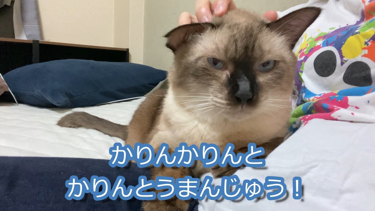 かりんとうまんじゅう