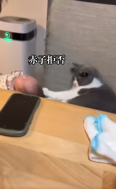 赤ちゃんの頭を前足で押している猫