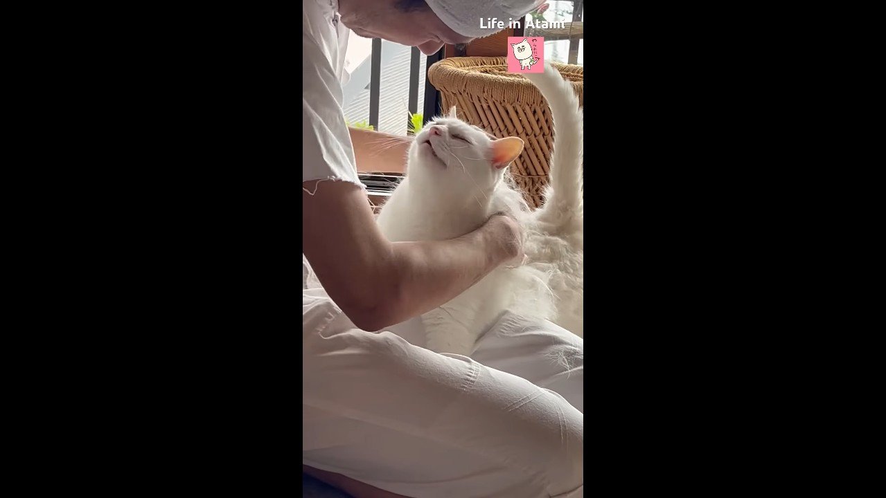 気持ち良さそうな顔