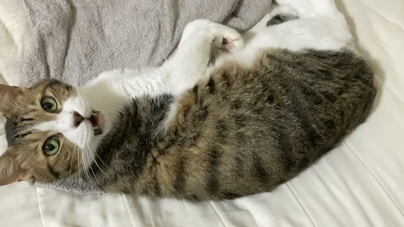 驚きの表情をするミックくん