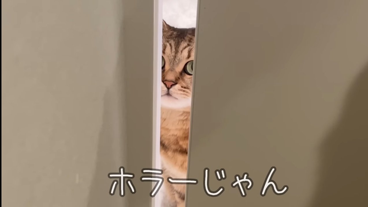 ホラーじゃん